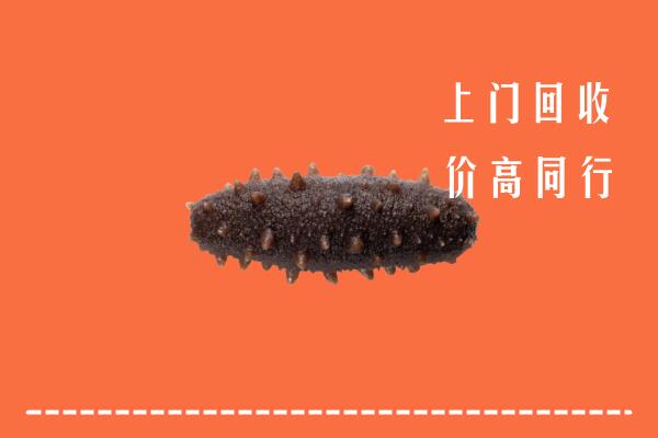 高价求购：桦南县回收海参