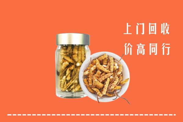 桦南县回收冬虫夏草